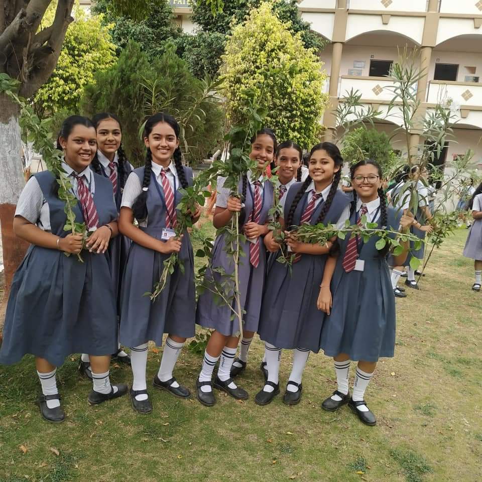 Tree Plantation