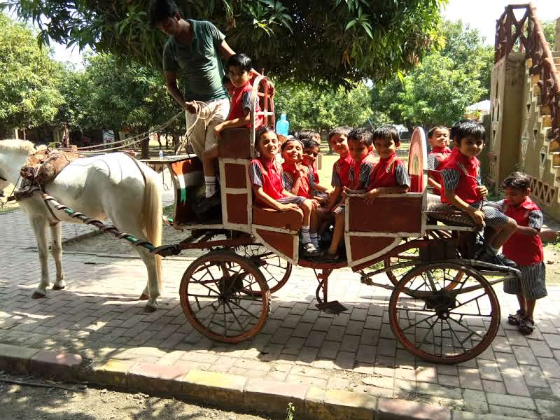 Picnic day (pre primary section)